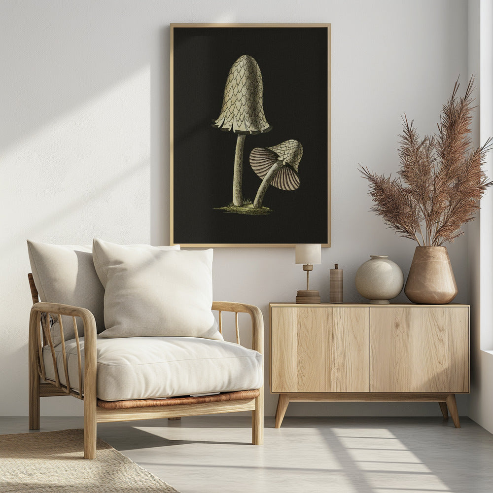 Vintage Inky Cap Edible Mushroom Black Background | Poster