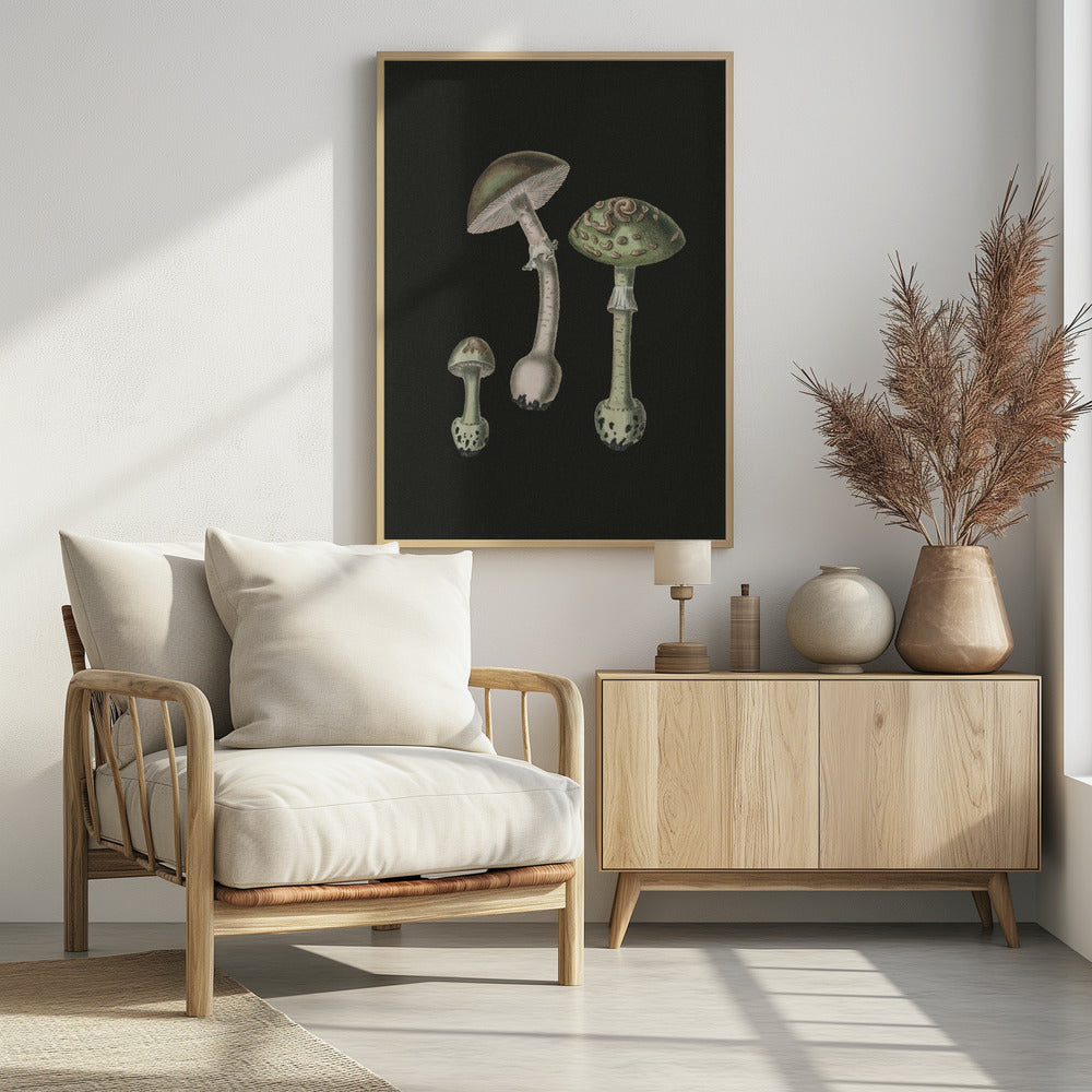 Amanita Muscaria Dark Background | Poster