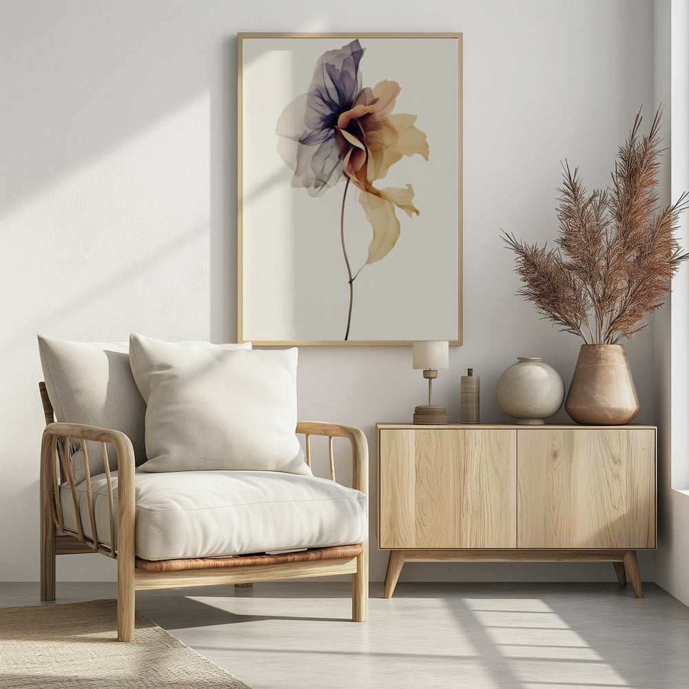 Chiffonblume | Poster