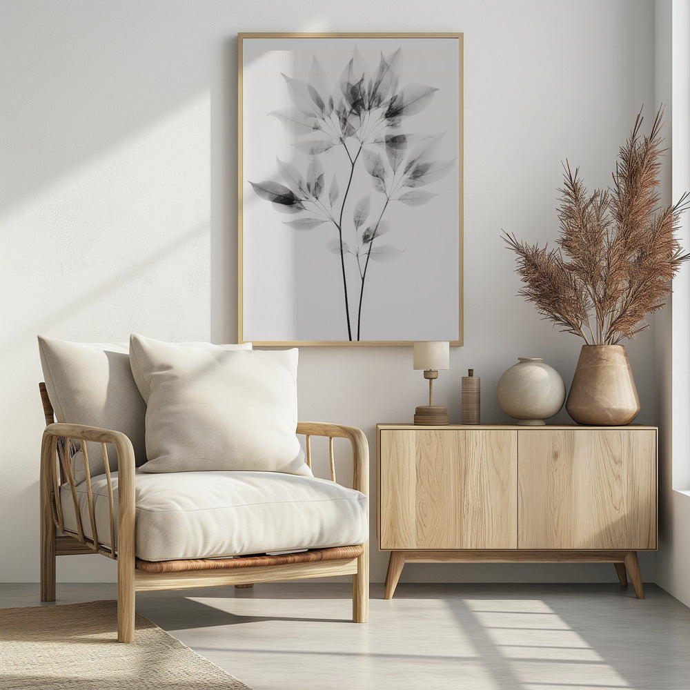 Transparent Leaves | Poster