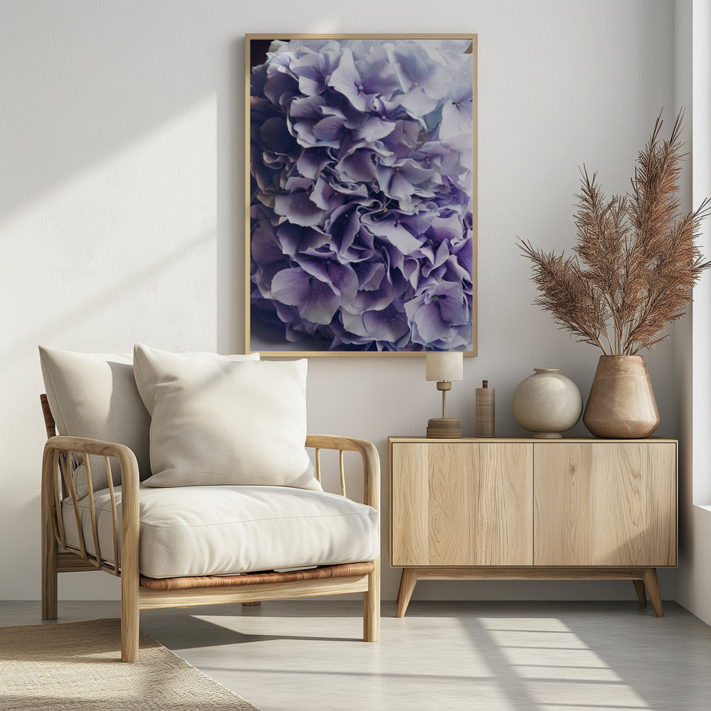 Vibrant Purple Hydrangea Flowers | Poster