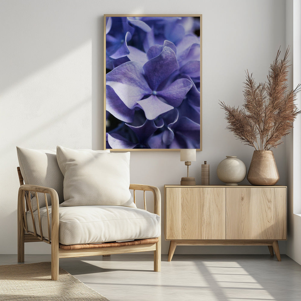 Delicate Purple Hydrangea Petals | Poster