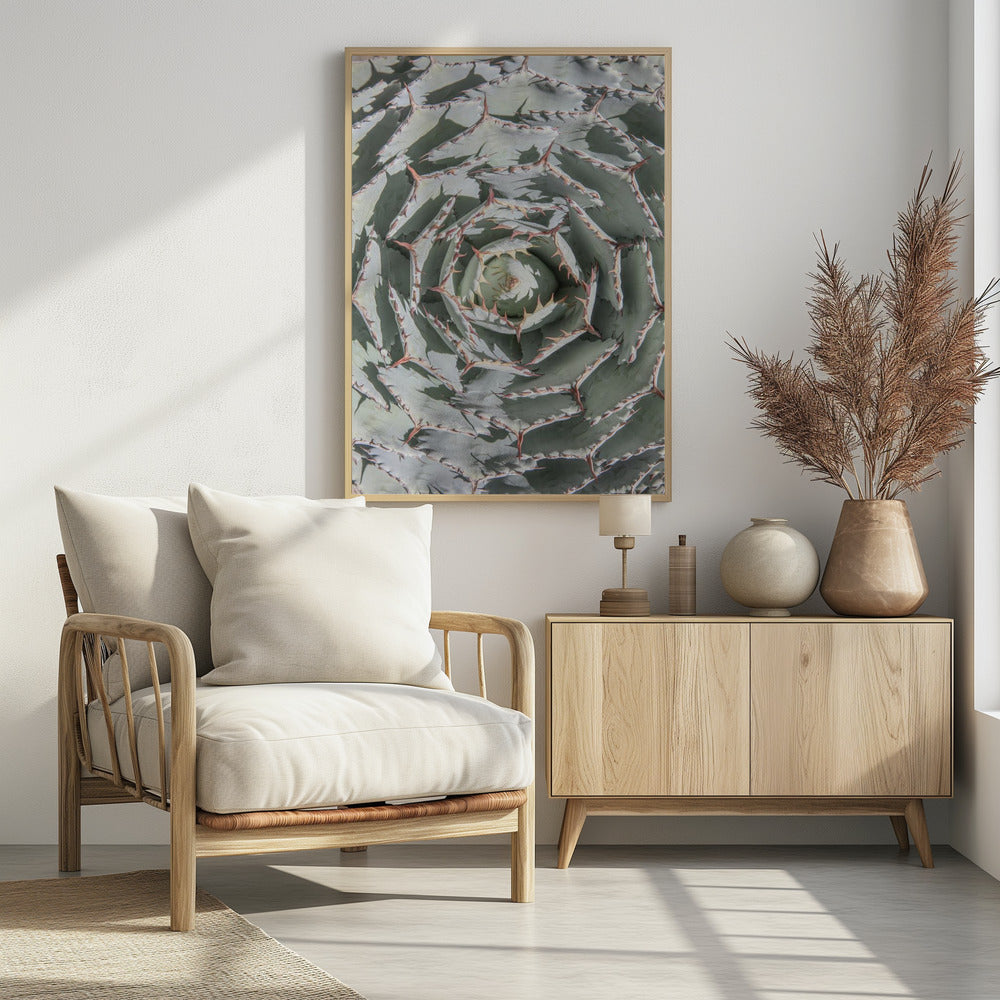 Spiralförmiges Sukkulenten-Labyrinth | Poster