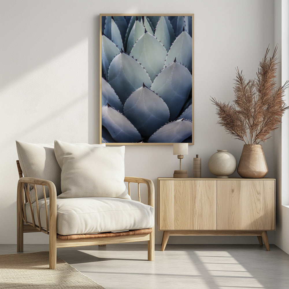 Agavengeometrie | Poster