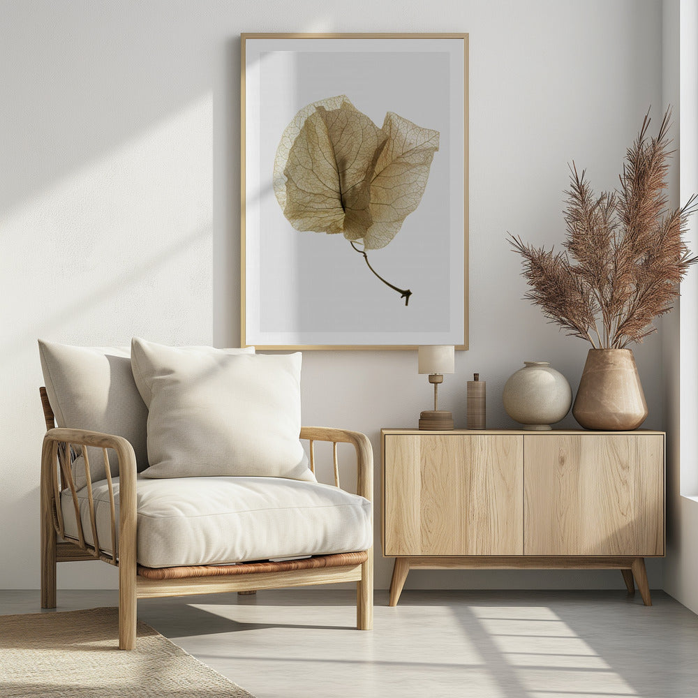 Delicate Leaf Veins | Poster