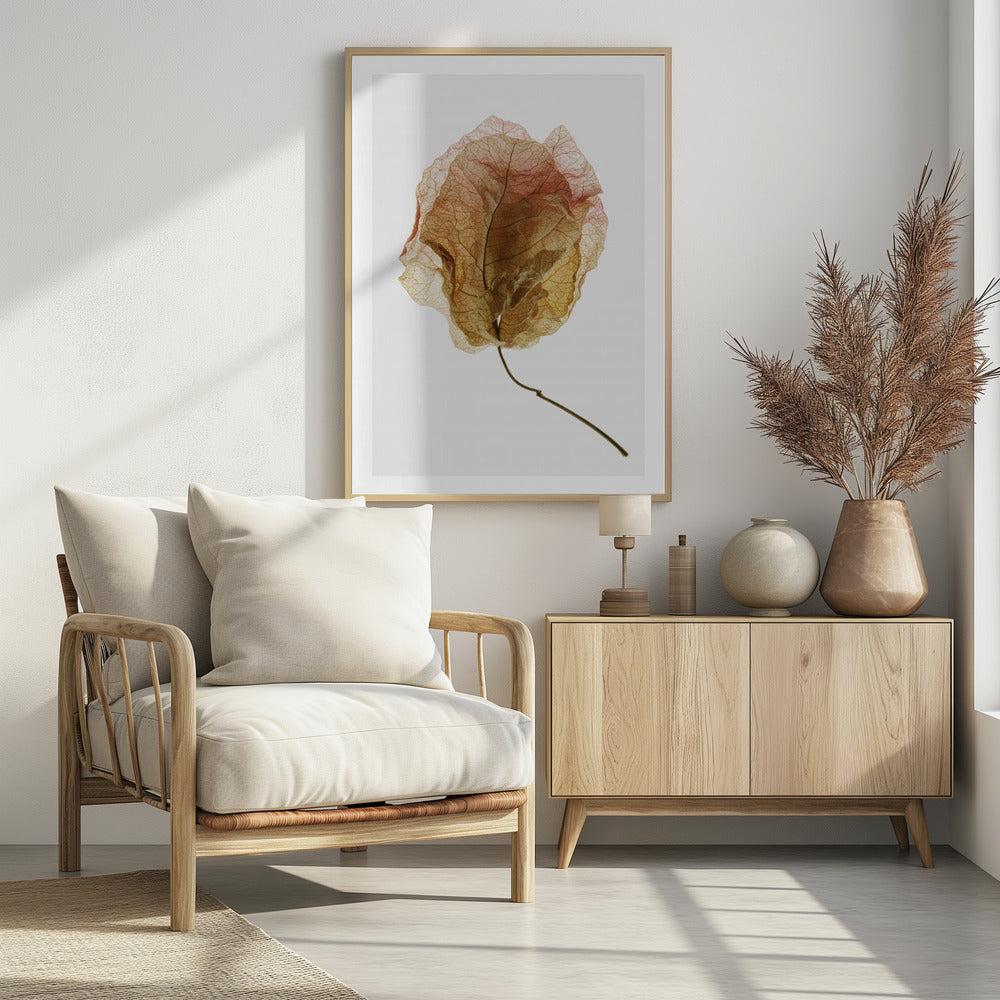 Geäderte Eleganz | Poster