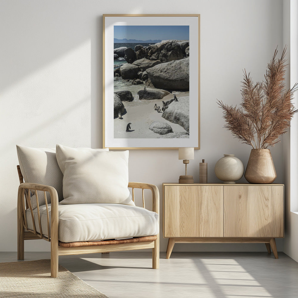 Küstenspaziergang der Pinguine | Poster