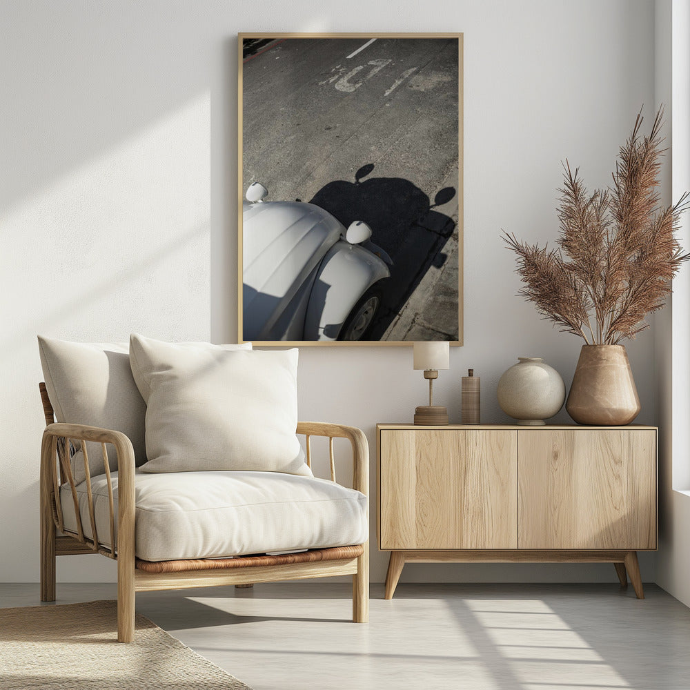 Klassische Kurvenschatten | Poster