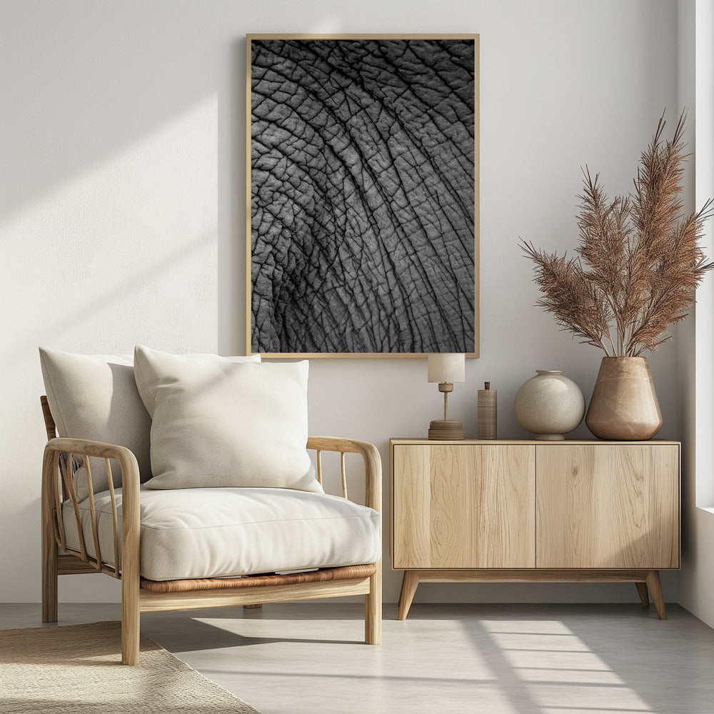 Elefantentextur | Poster