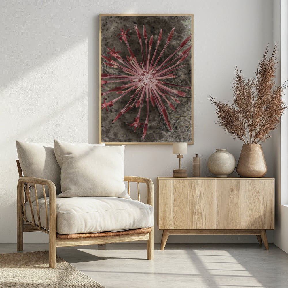 Strahlende Blüten | Poster