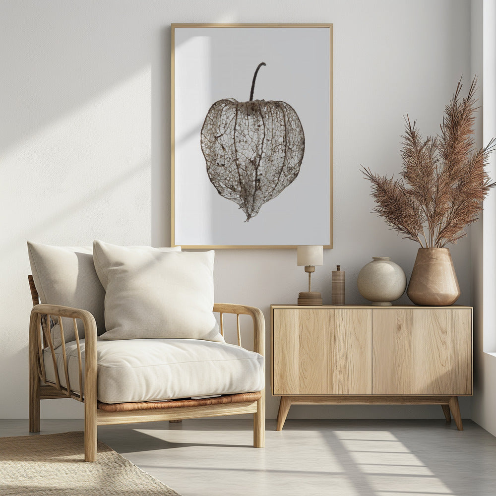 Fragile Nature's Veil | Poster