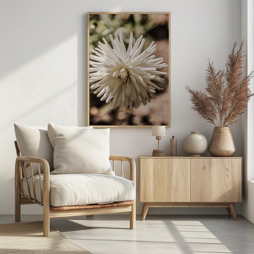 White Blossom Glow | Poster