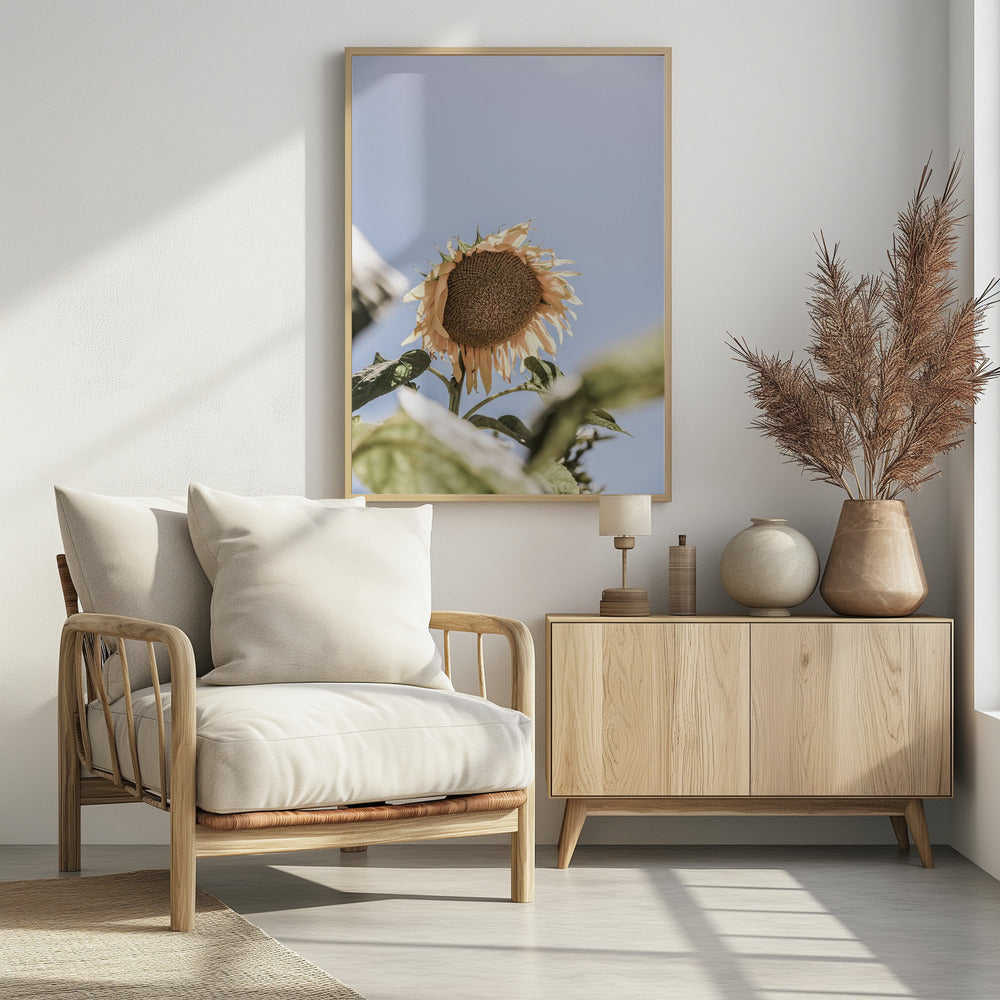 Golden Bloom Sky | Poster