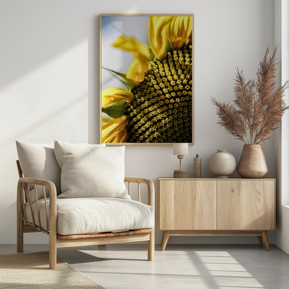 Sonnenblume Nahaufnahme | Poster