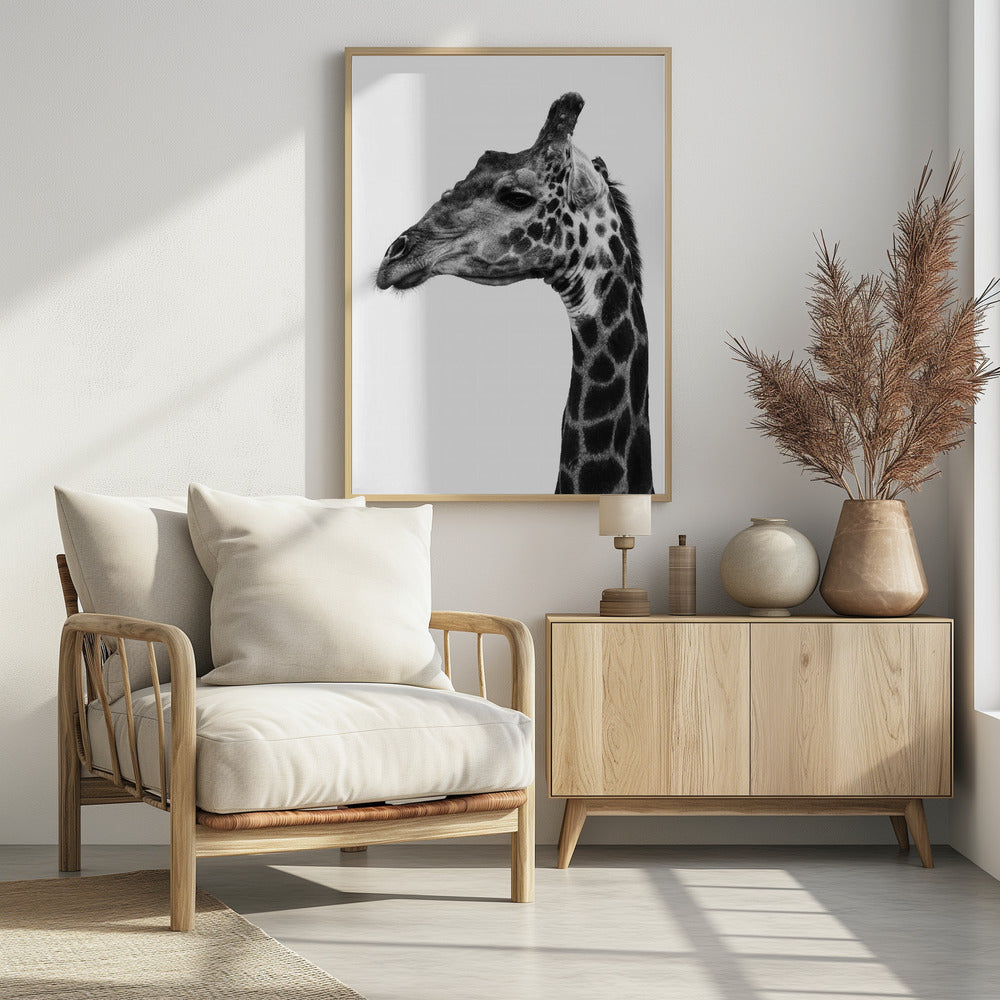 Intricate Patterns Of A Giraffe's Skin | Poster