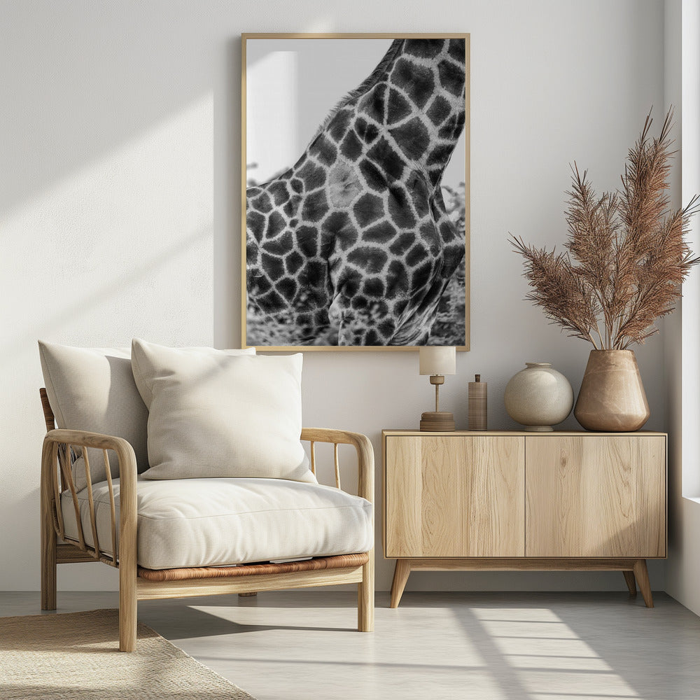Komplizierte Muster der Giraffenhaut | Poster