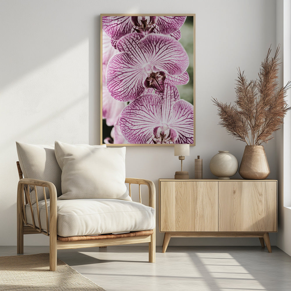 Tigerblüten | Poster