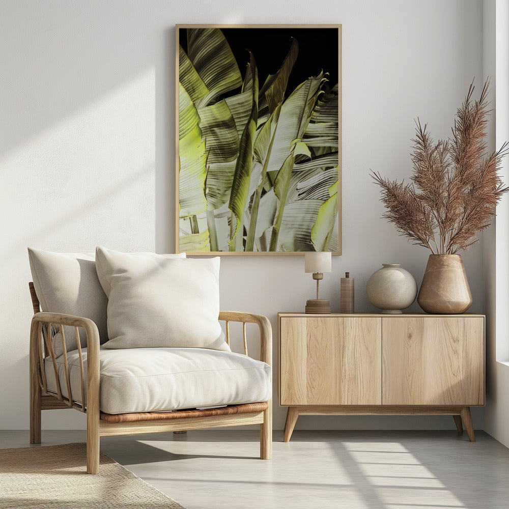Bananenblätter in sanfter Beleuchtung | Poster