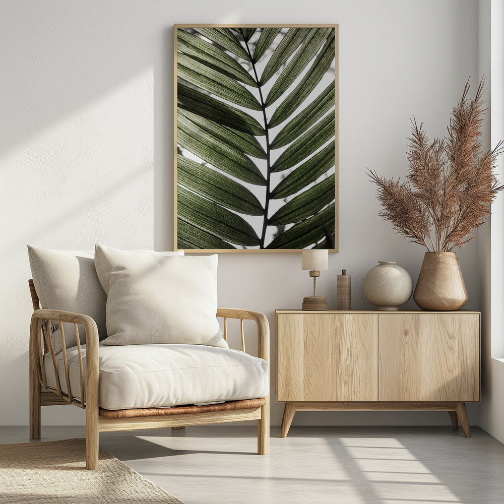 Palmblätter 24 | Poster