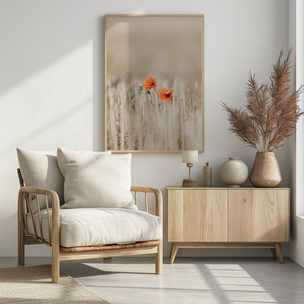 Summer Poppies | Poster
