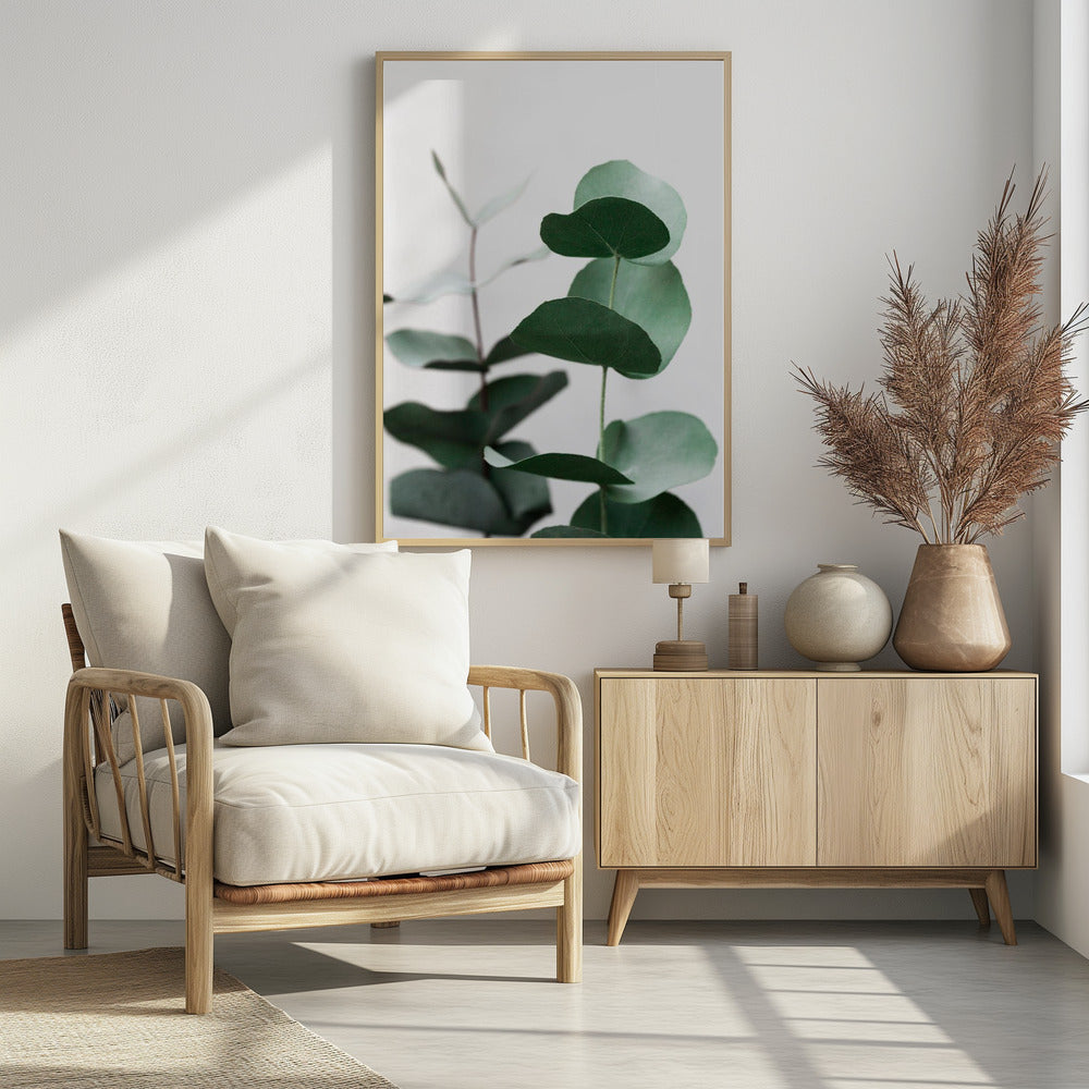 Eukalyptus 5 A1 | Poster