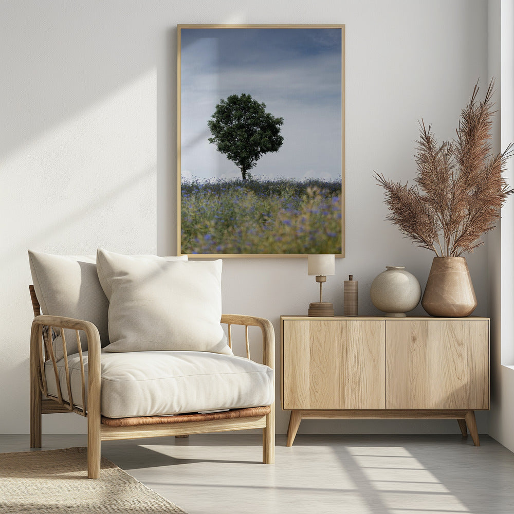 Sommerwiese | Poster