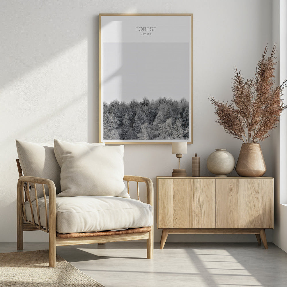 Frosted Tranquility | Poster