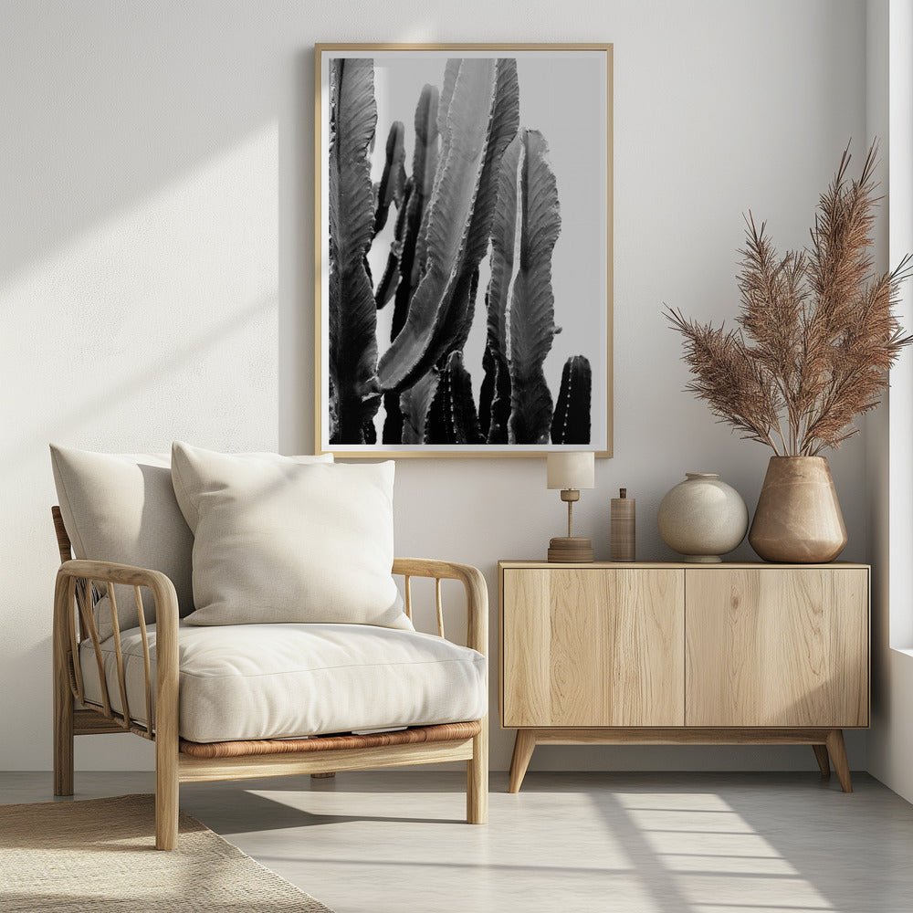Kaktus-Eleganz | Poster