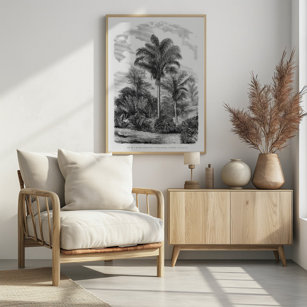Vintage Palm Tree Drawing Vi | Poster