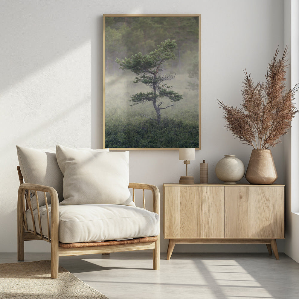 Dsf1453 | Poster