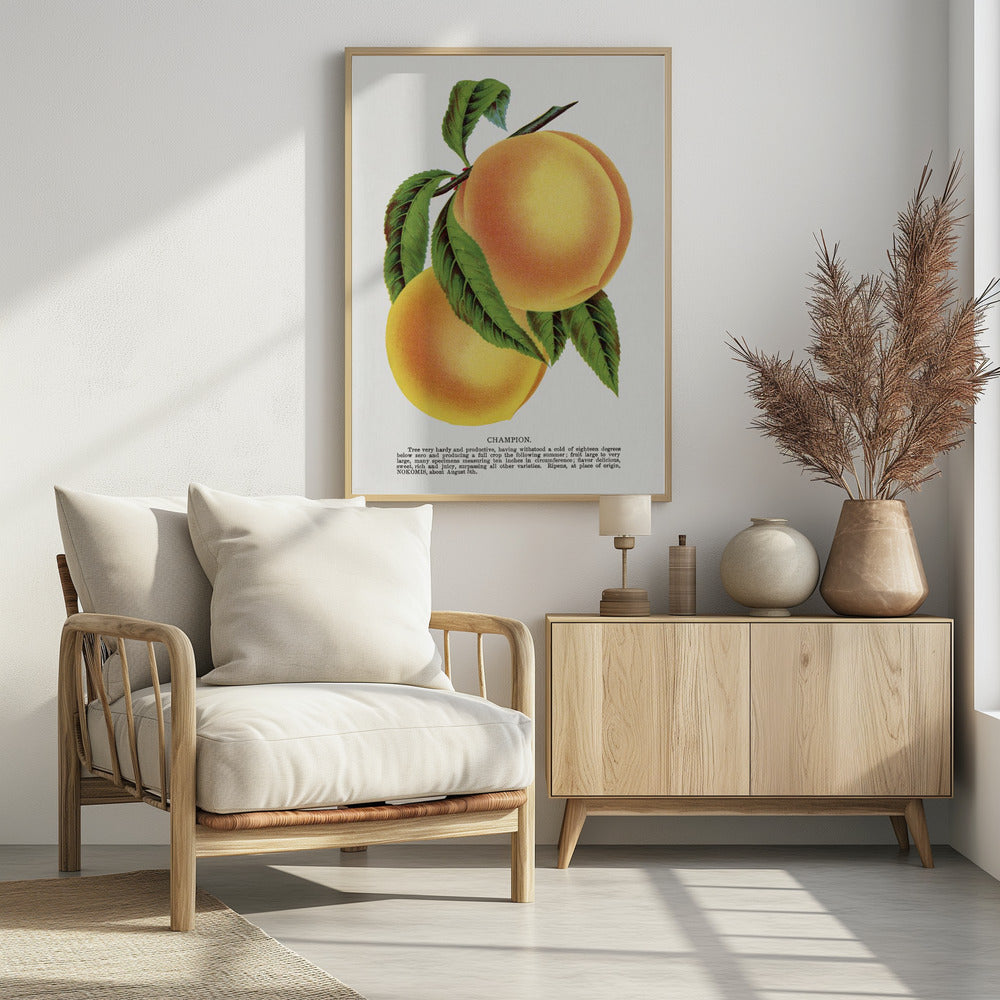 Champion Plum Lithographie | Poster