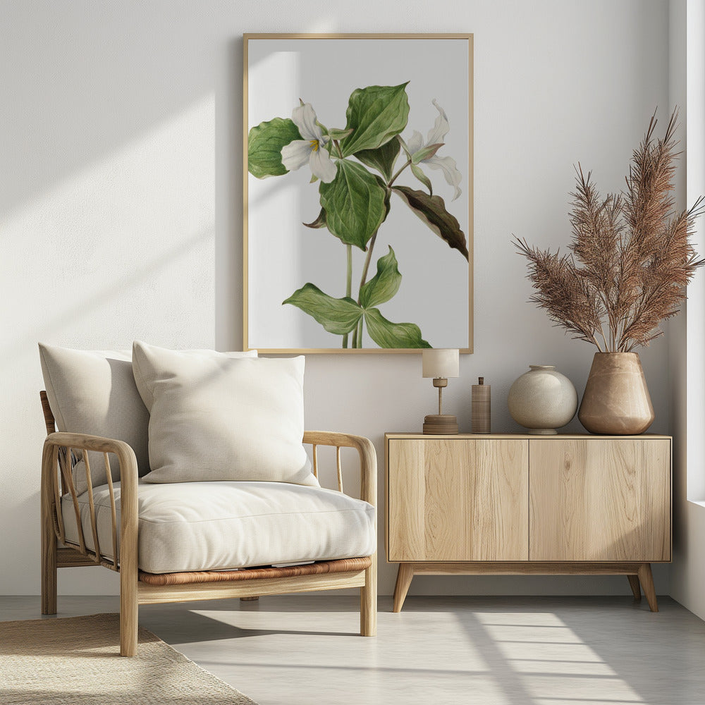 Großes weißes Trillium | Poster
