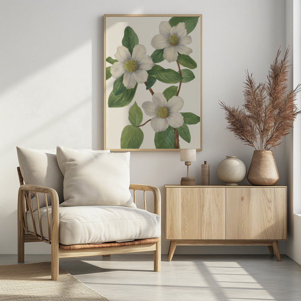 Pazifischer Hartriegel | Poster