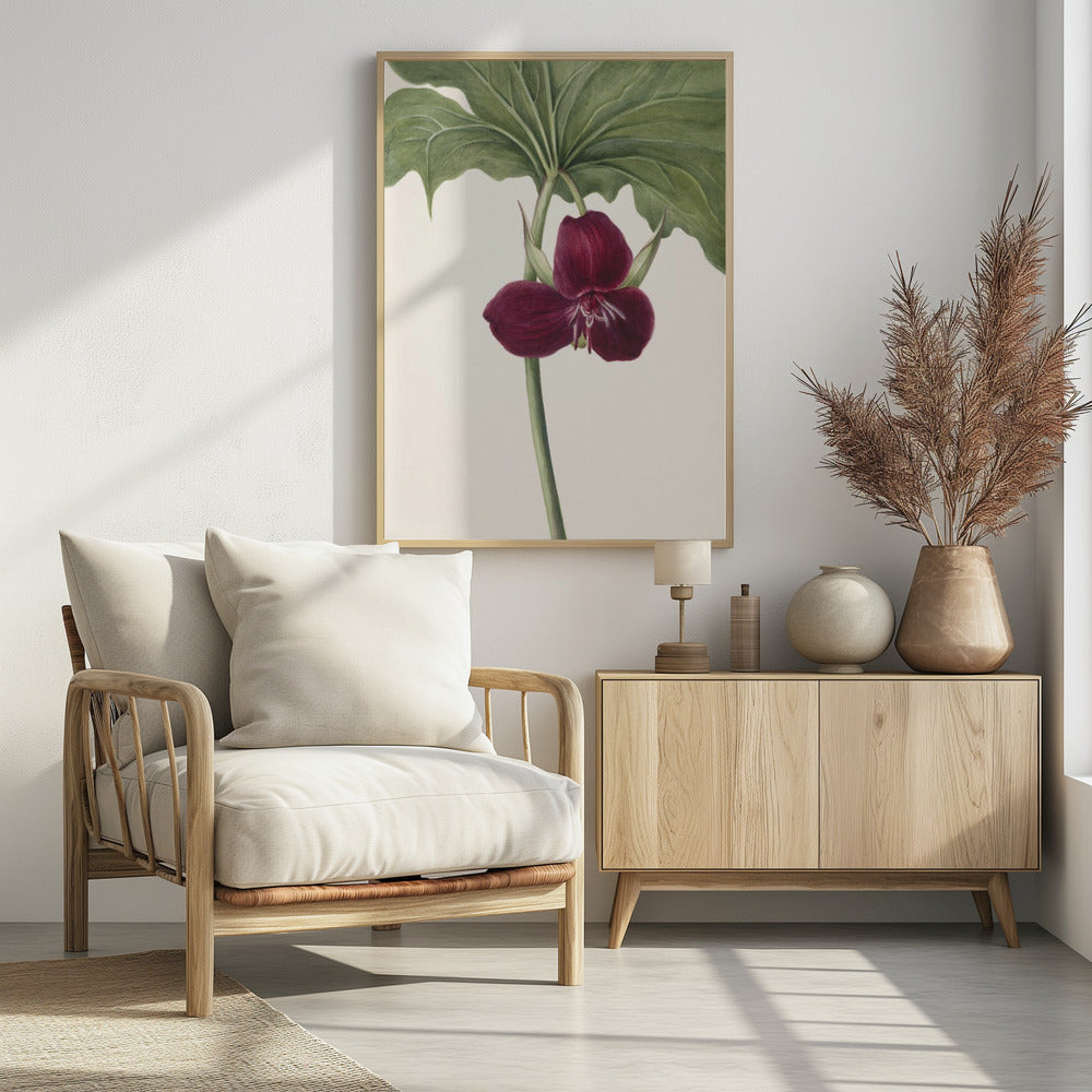 Süßes Trillium | Poster