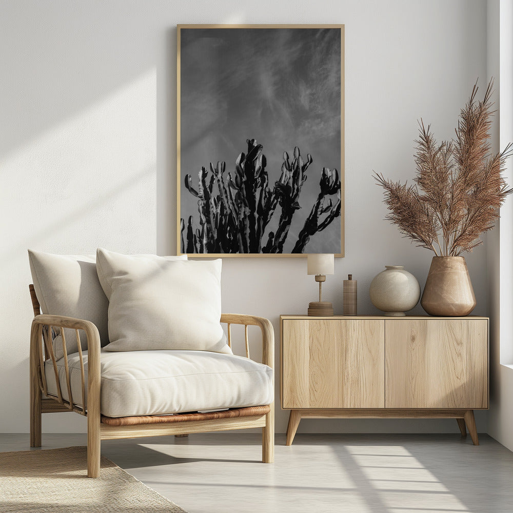 Monochrome Cactus Sky | Poster