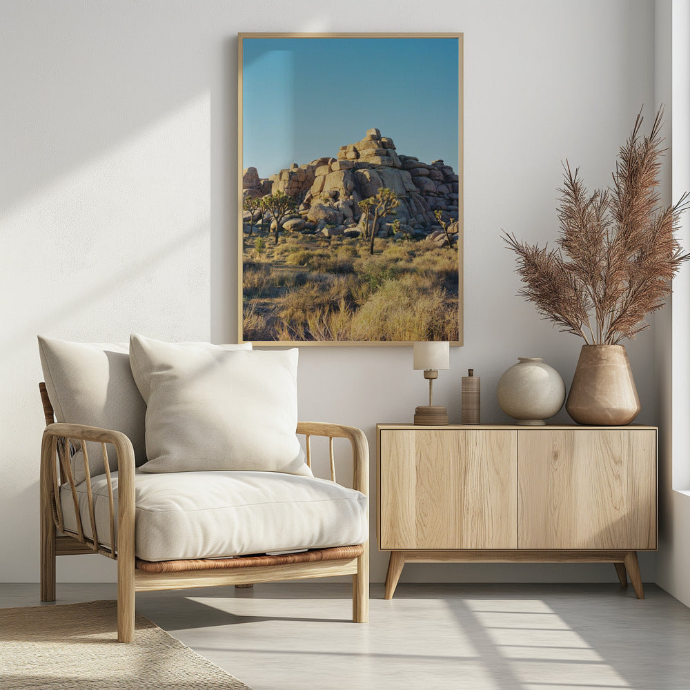Sonnenuntergang am Joshua Tree | Poster