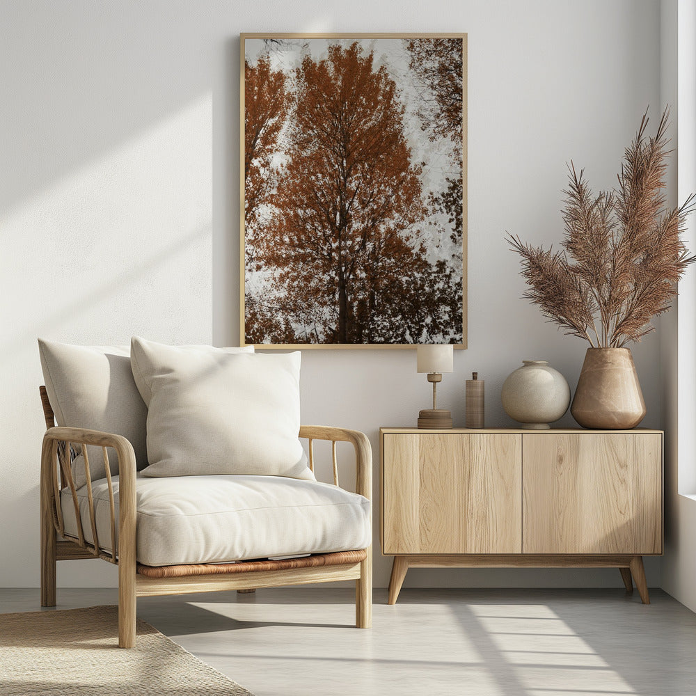 Aspen | Poster