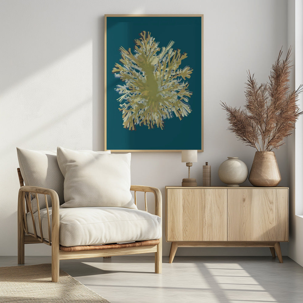 Seaweed Poster 1 | Poster