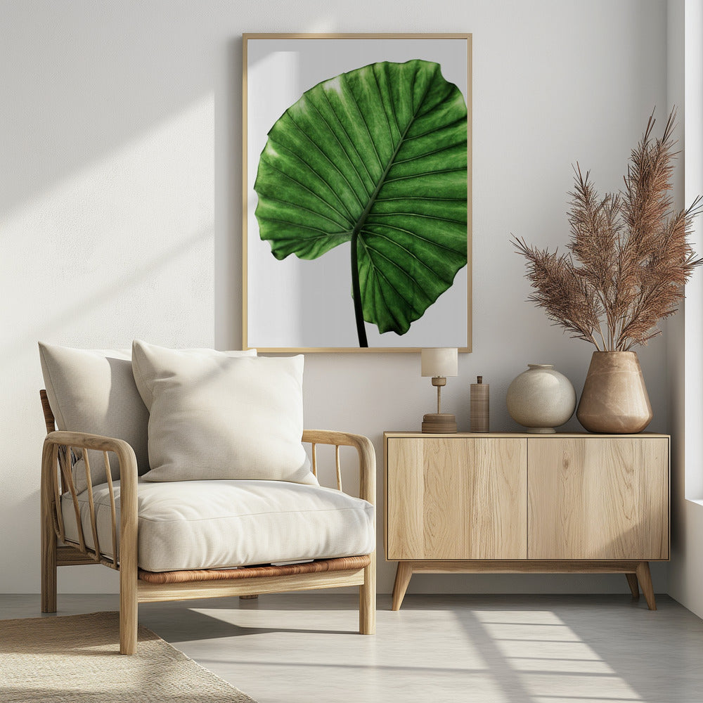 Leaves 11 | Poster
