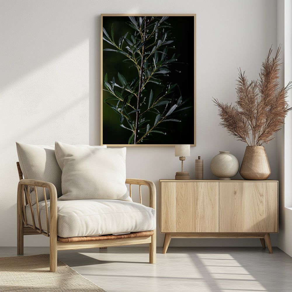 Winter Branches 6 | Poster