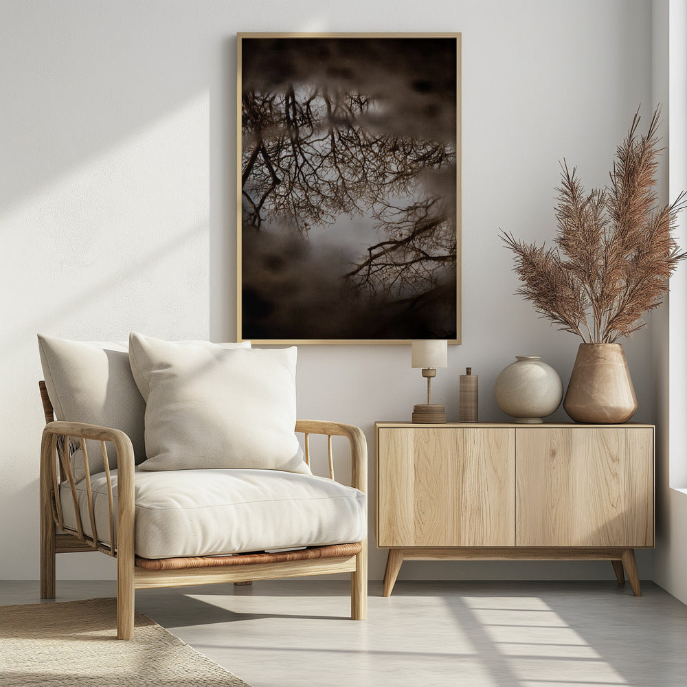 Winter Reflections | Poster