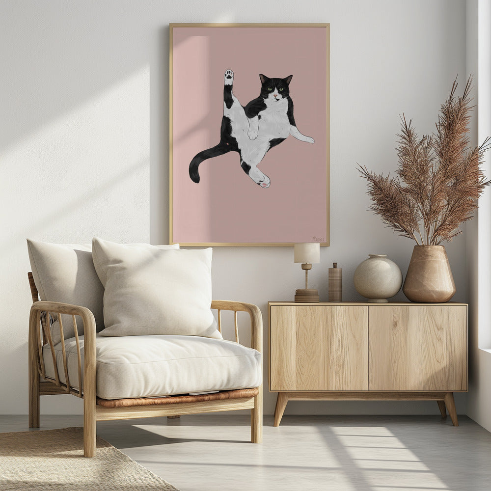 Katze in einer lustigen Pose | Poster