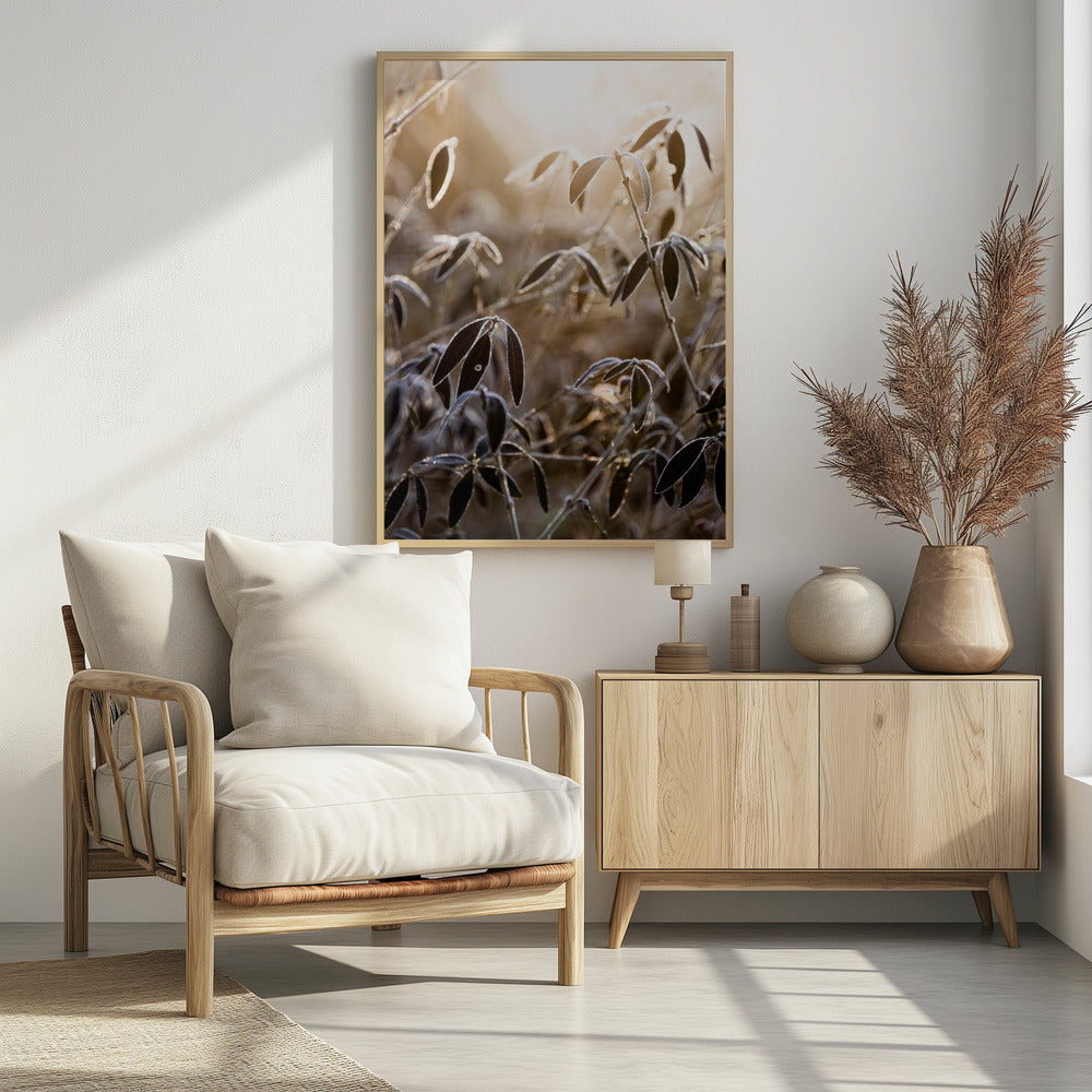 A Winter Morning 6 | Poster