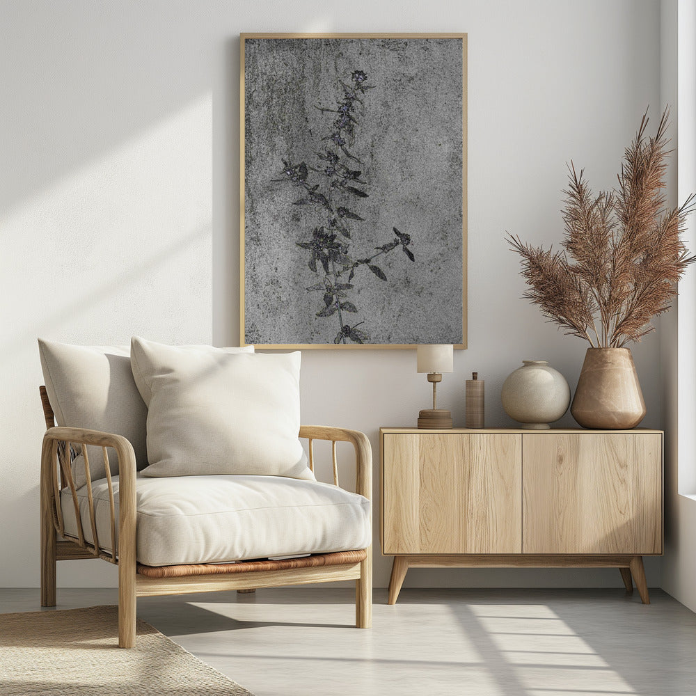Concrete Blossoms | Poster
