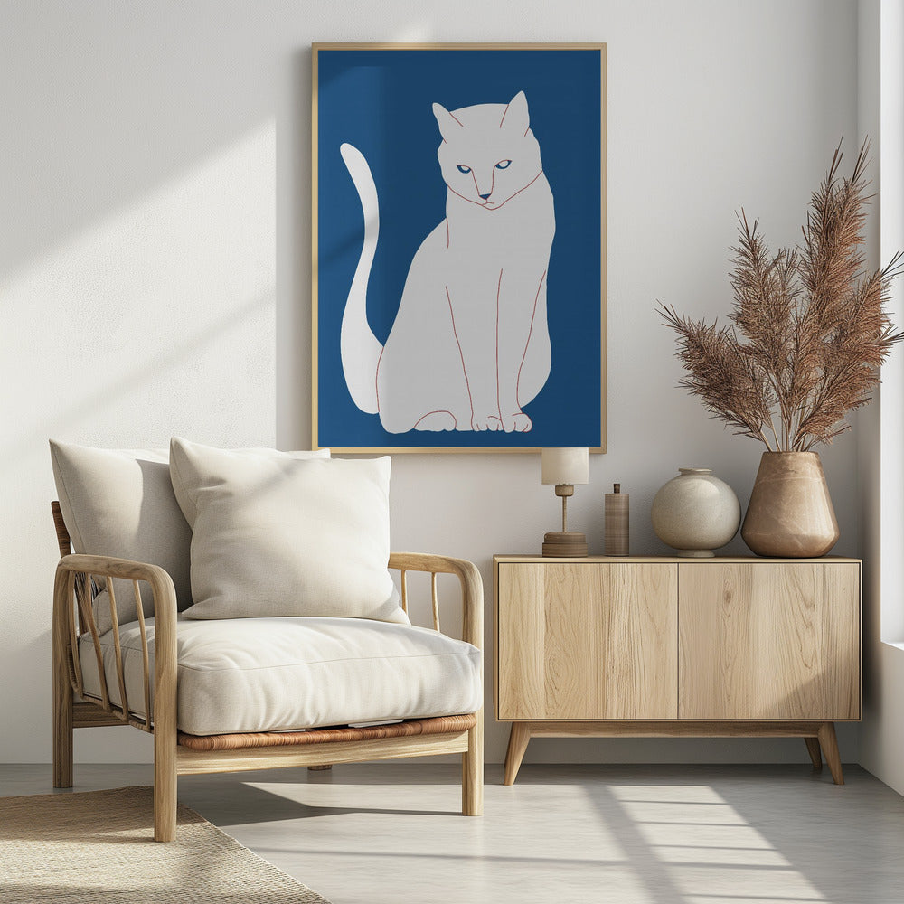 Weiße und blaue Katze | Poster