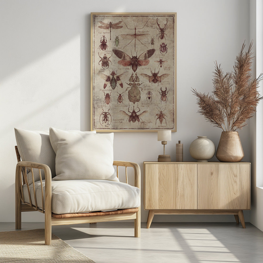 Vintage-style Insects | Poster