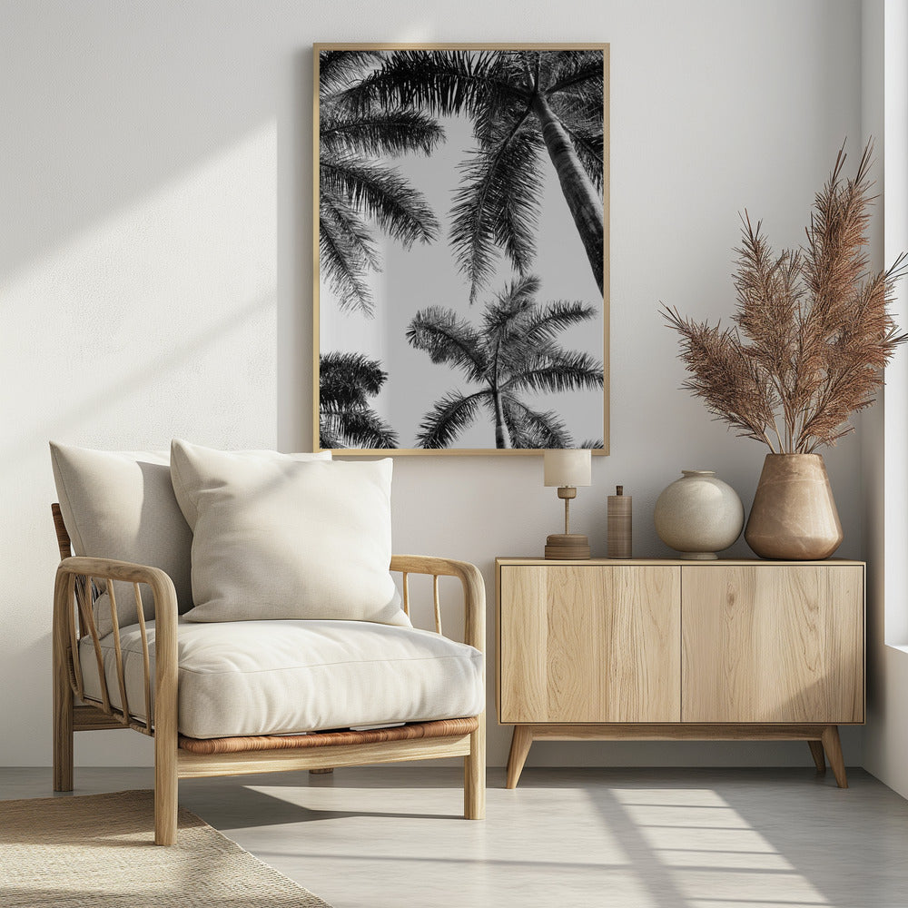 Schwarz-weiße Palme | Poster