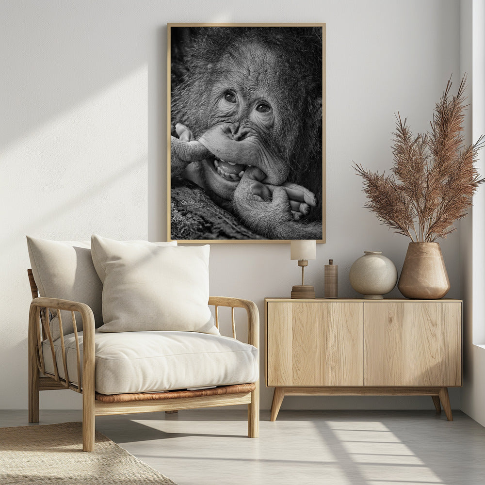 Großes Lächeln.....bitte | Poster