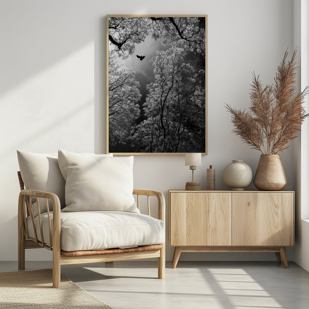 Flug | Poster