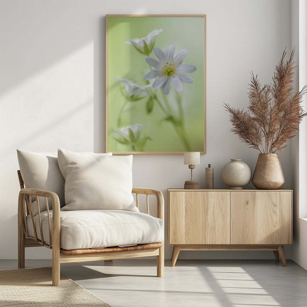 Frühlingsglanz | Poster